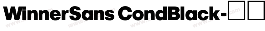 WinnerSans CondBlack字体转换